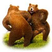 Dancing Bears Gift TikTok Gift