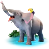 Ellie The Elephant Gift  TikTok Gift