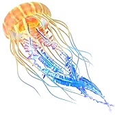 Glowing Jellyfish Gift TikTok Gift