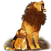 Leon and Lion Gift TikTok Gift
