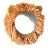 Lion's Mane Gift TikTok Gift