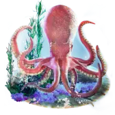 Octopus Gift TikTok Gift