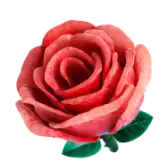 Rosa Tiktok Gift TikTok Gift