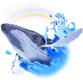 Sam The Whale Gift TikTok Gift