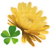 Sending Luck Gift TikTok Gift