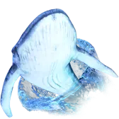 Whale Diving Gift TikTok Gift